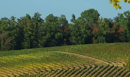 chateau la tour chantecaille